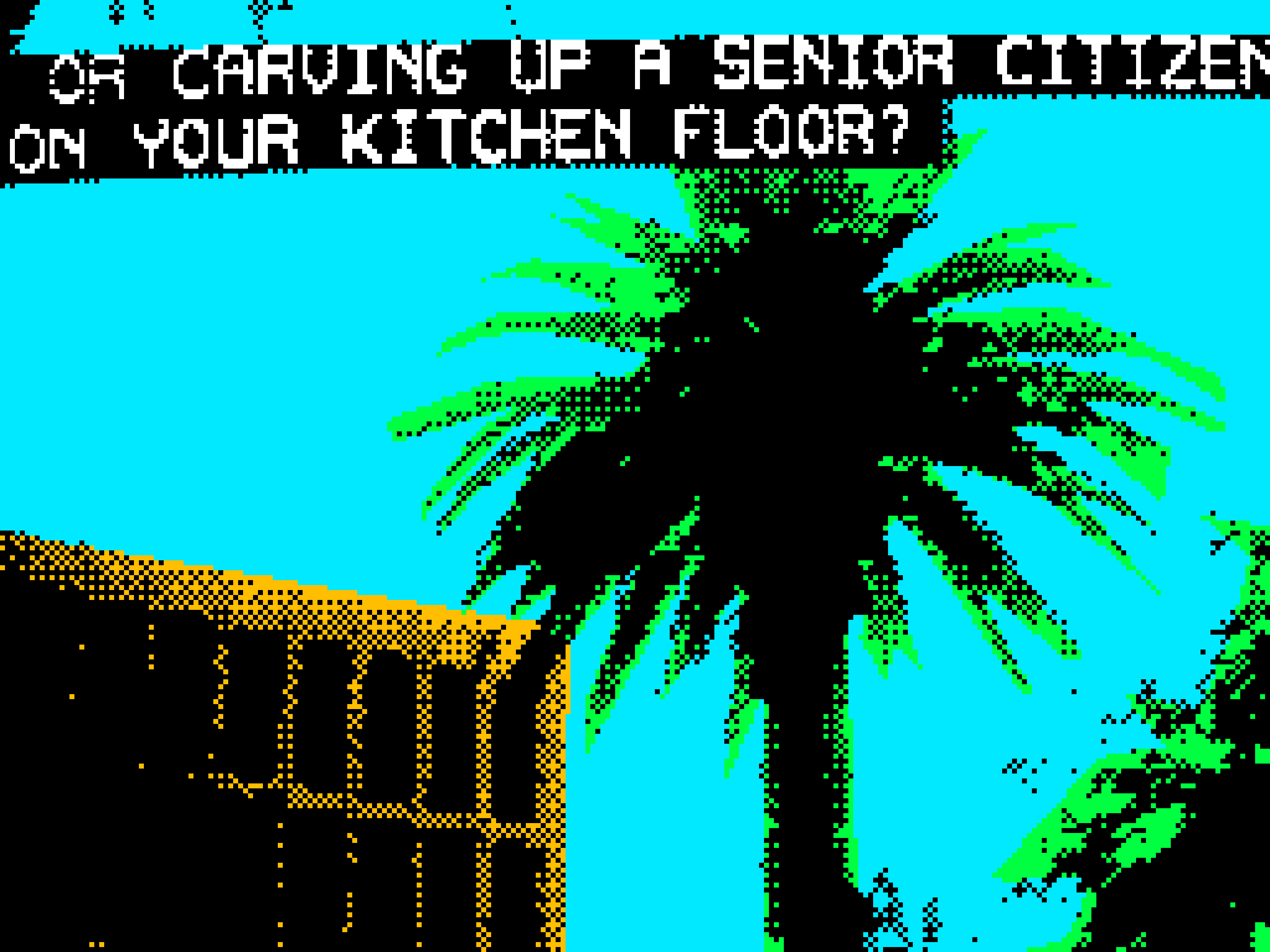 OR CARVING UP A SENIOR CITIZEN ON YOUR KITCHEN FLOOR?